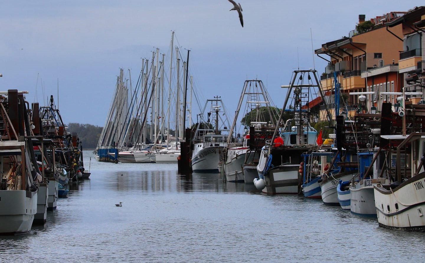 Immagine per Grado, scontro politico sul regolamento ormeggi. L'opposizione diserta la commissione